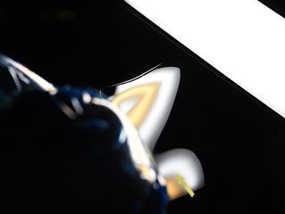 ランドクルーザープラド フロントフェンダー上部のデントリペア後・ライトの光での確認